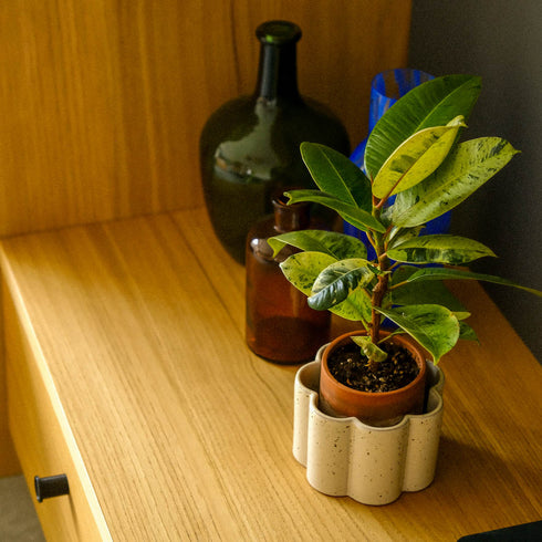 Selbstbewässernder Topf Paulita S | grün