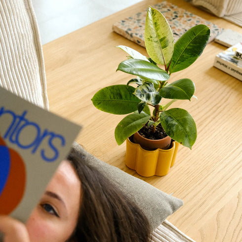 Selbstbewässernder Topf Paulita S | gelb