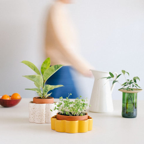 Selbstbewässernder Topf Paula M | creme