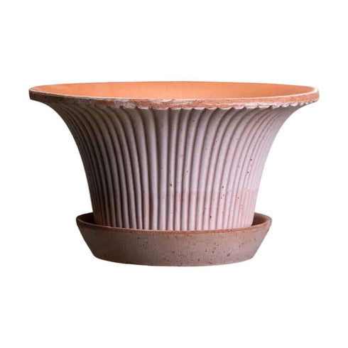 Blumentopf Daisy | terracotta