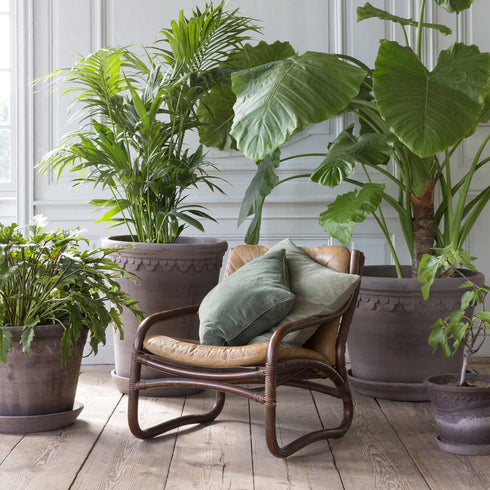 Blumentopf Københavner large | grau