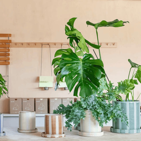 Blumentopf mit Unterteller Kruka | ocker