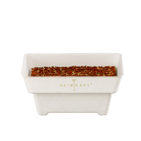 Anzuchtschale Microgreens | kompostierbar