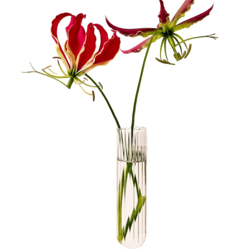 Magnetische XL-Vase | 3er Set