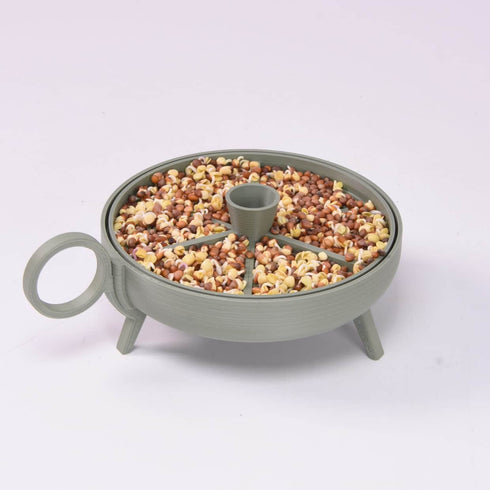 Sprouting Plate | green