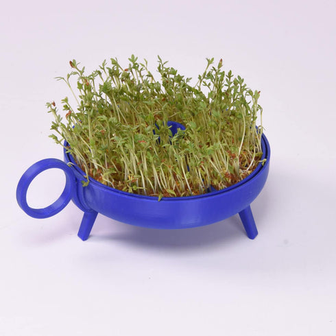 Sprouting Plate | cobalt