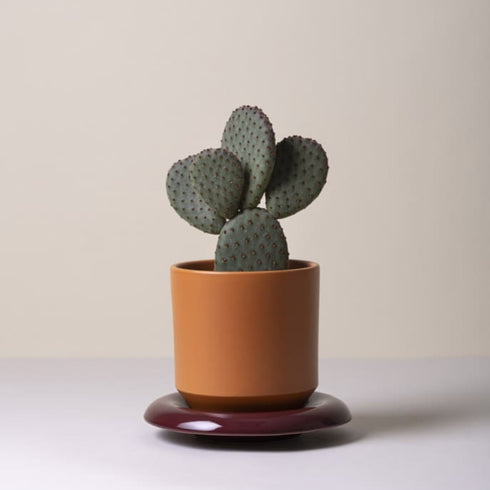 Blumentopf Lily | tangerine