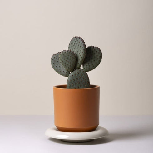 Blumentopf Lily | tangerine