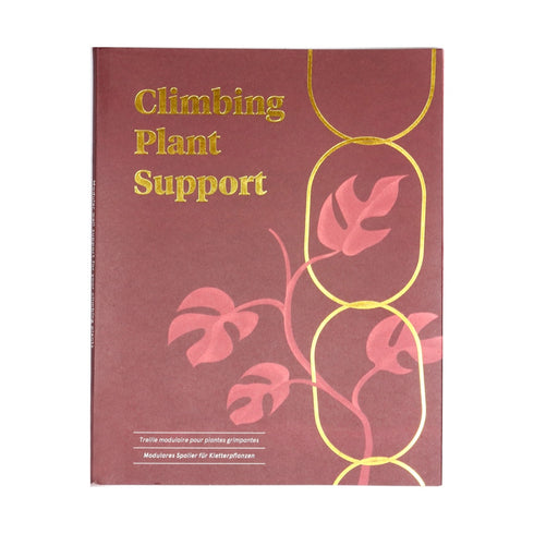 Rankhilfe Chain | gold