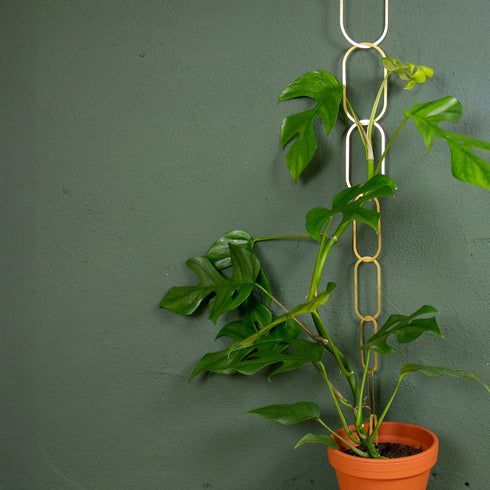 Rankhilfe Chain | gold