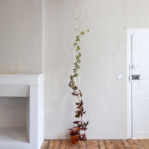 Rankhilfe Chain | gold