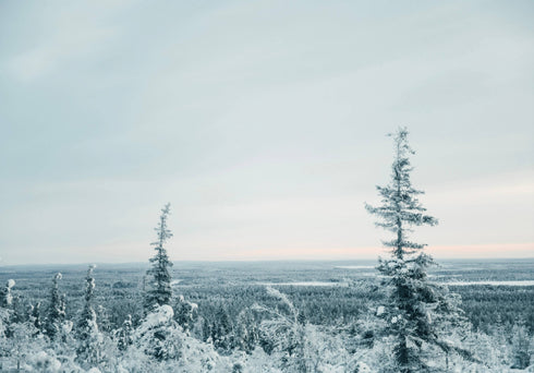Ich habe das für dich gemacht - Weihnachtsgeschenk und Dekorationen...