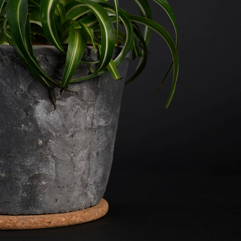 Untersetzer Kork | XL