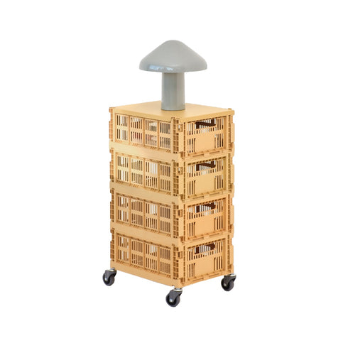 Deckel Colour Crate M | golden yellow
