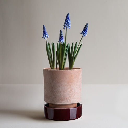 Unterteller für The Hoff Pot | deep burgundy