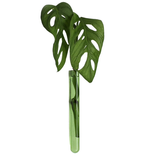 Magnetische mini-Vase | grün