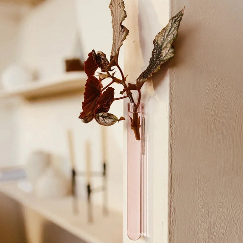 Magnetische mini-Vase | rosa