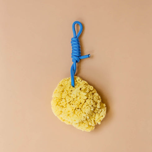 Naturschwamm mit Schnur | 4 Farben