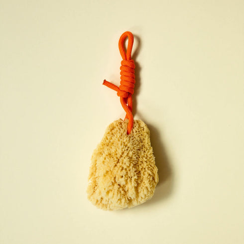 Naturschwamm mit Schnur | 4 Farben
