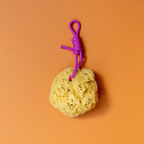 Naturschwamm mit Schnur | 4 Farben