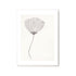 Gerahmter Kunstdruck Poppy | diverse Ausführungen