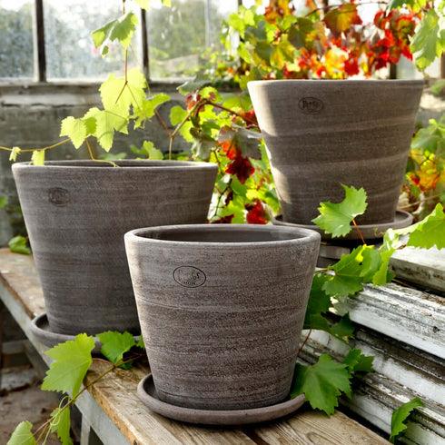 Blumentopf Julie | grau