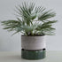 Blumentopf The Hoff Pot | grau