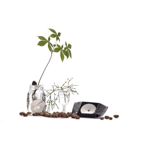 Porzellan Keim-Platte für Pflanzenableger | S