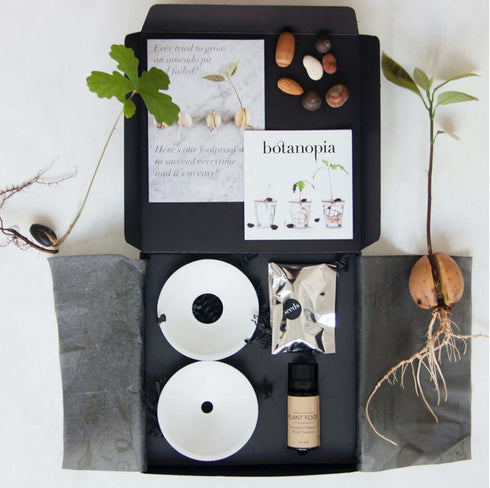 Porzellan Keim-Platte für Pflanzenableger | S