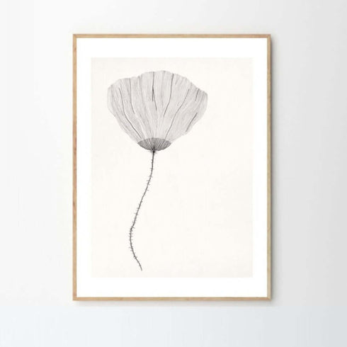 Gerahmter Kunstdruck Poppy | diverse Ausführungen