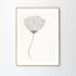 Gerahmter Kunstdruck Poppy | diverse Ausführungen