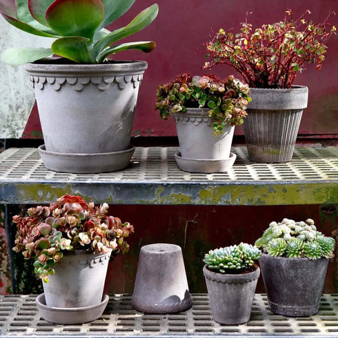 Blumentopf Københavner classic | grau