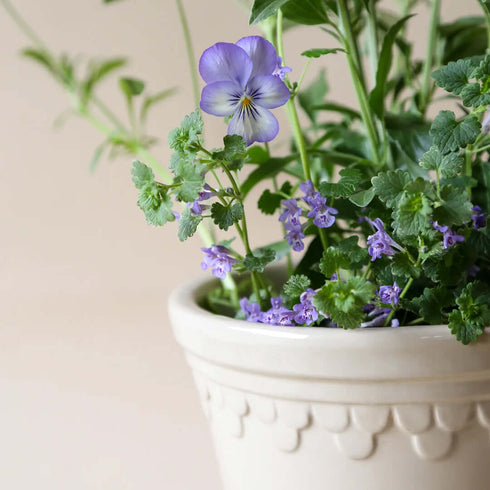 Blumentopf Københavner | sand glasiert