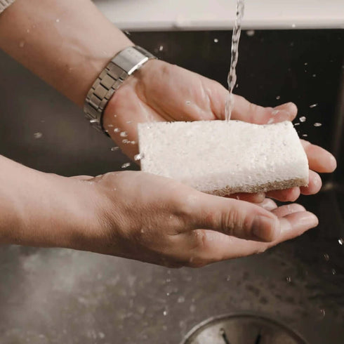 Kokos Schwamm | 2er Set