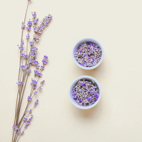 Refill Handseife Lavendelaroma | 750ml