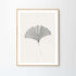 Gerahmter Kunstdruck Gingko Leaf | 2 Grössen