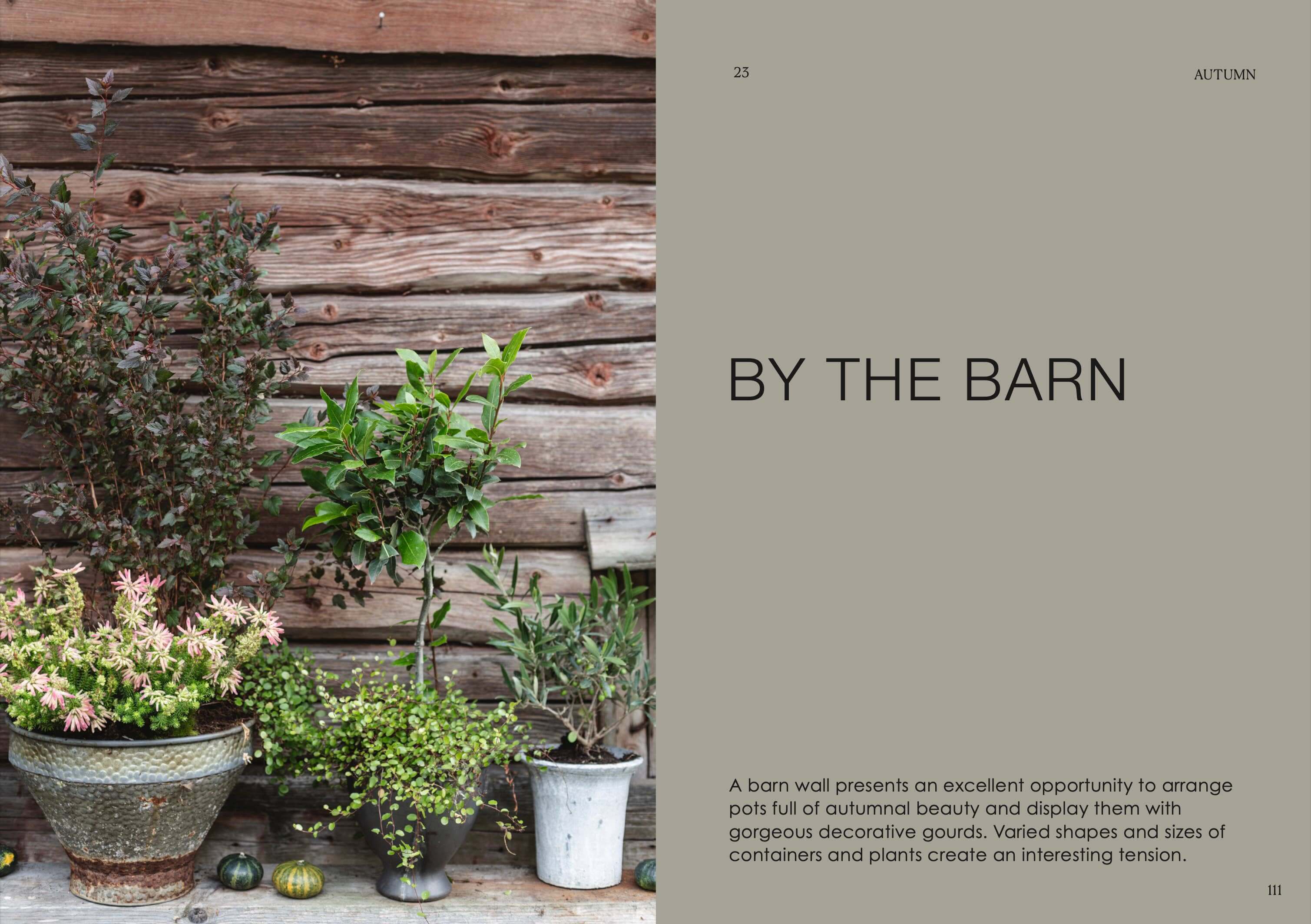 Le jardin en pot | Idées de jardin pour toute l'année