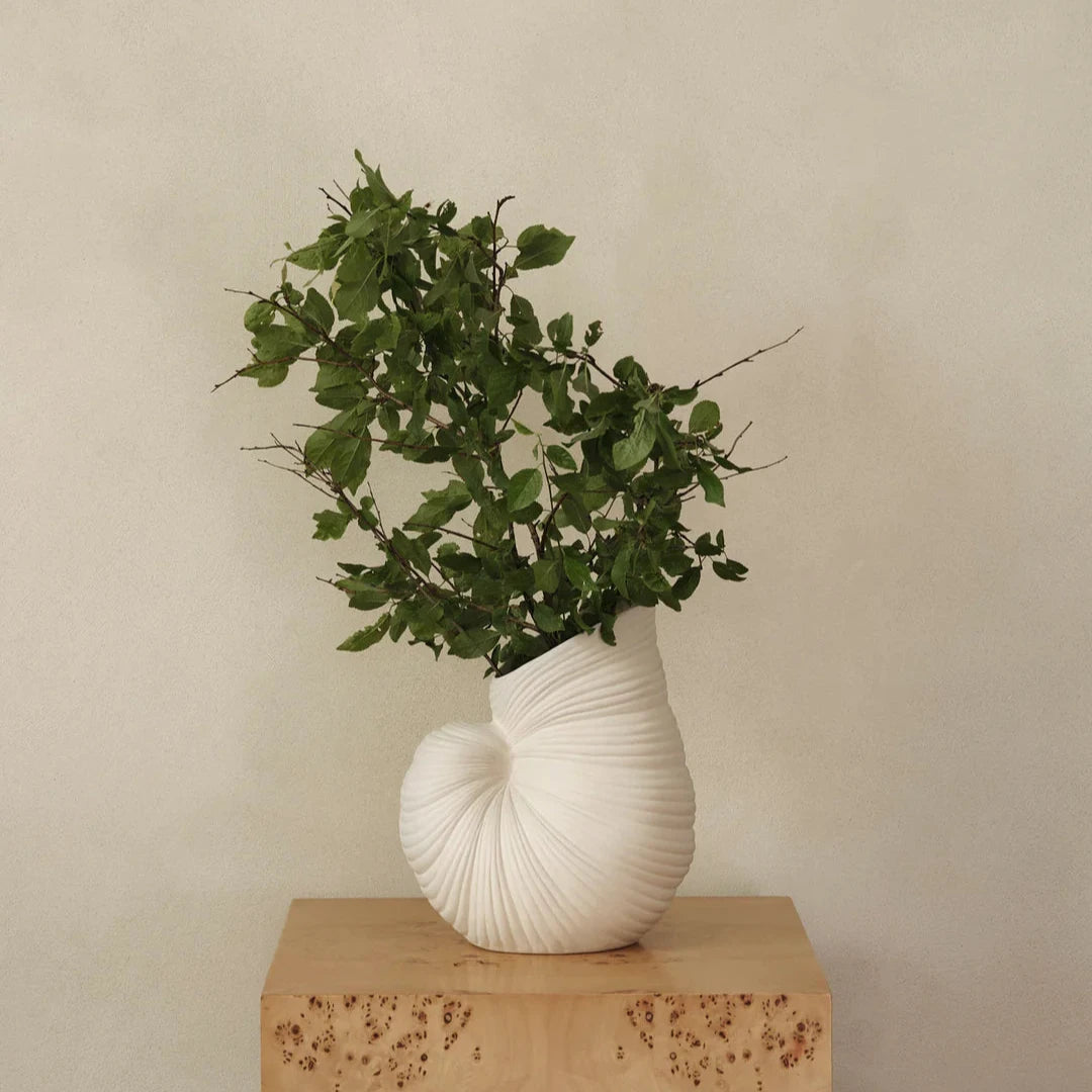 Vase coquillage