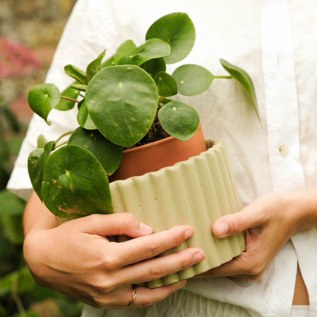 Self-watering pot Paula M | green