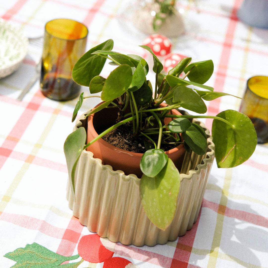 Self-watering pot Paula M | green