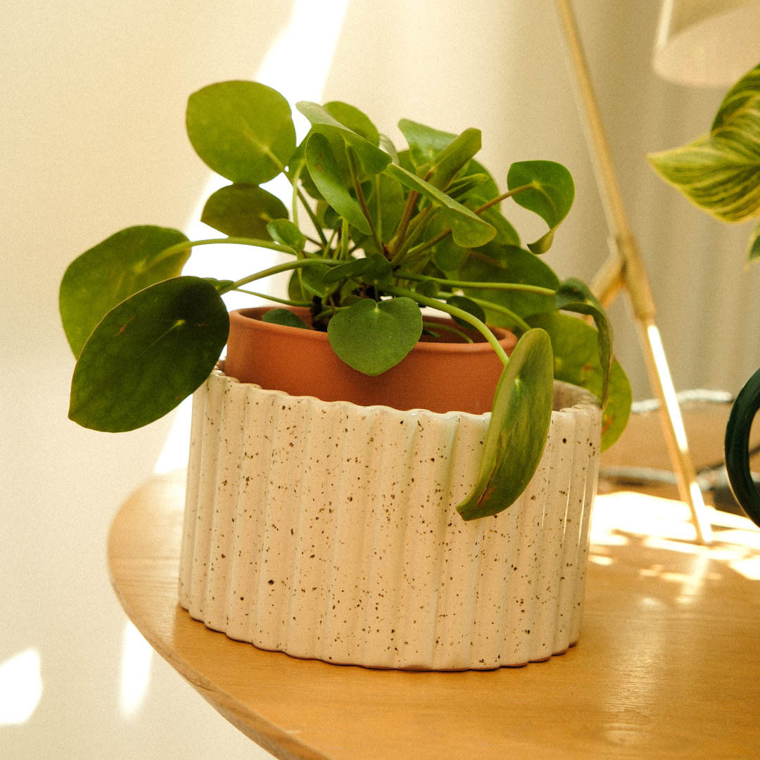 Self-watering Pot Paula M | cream