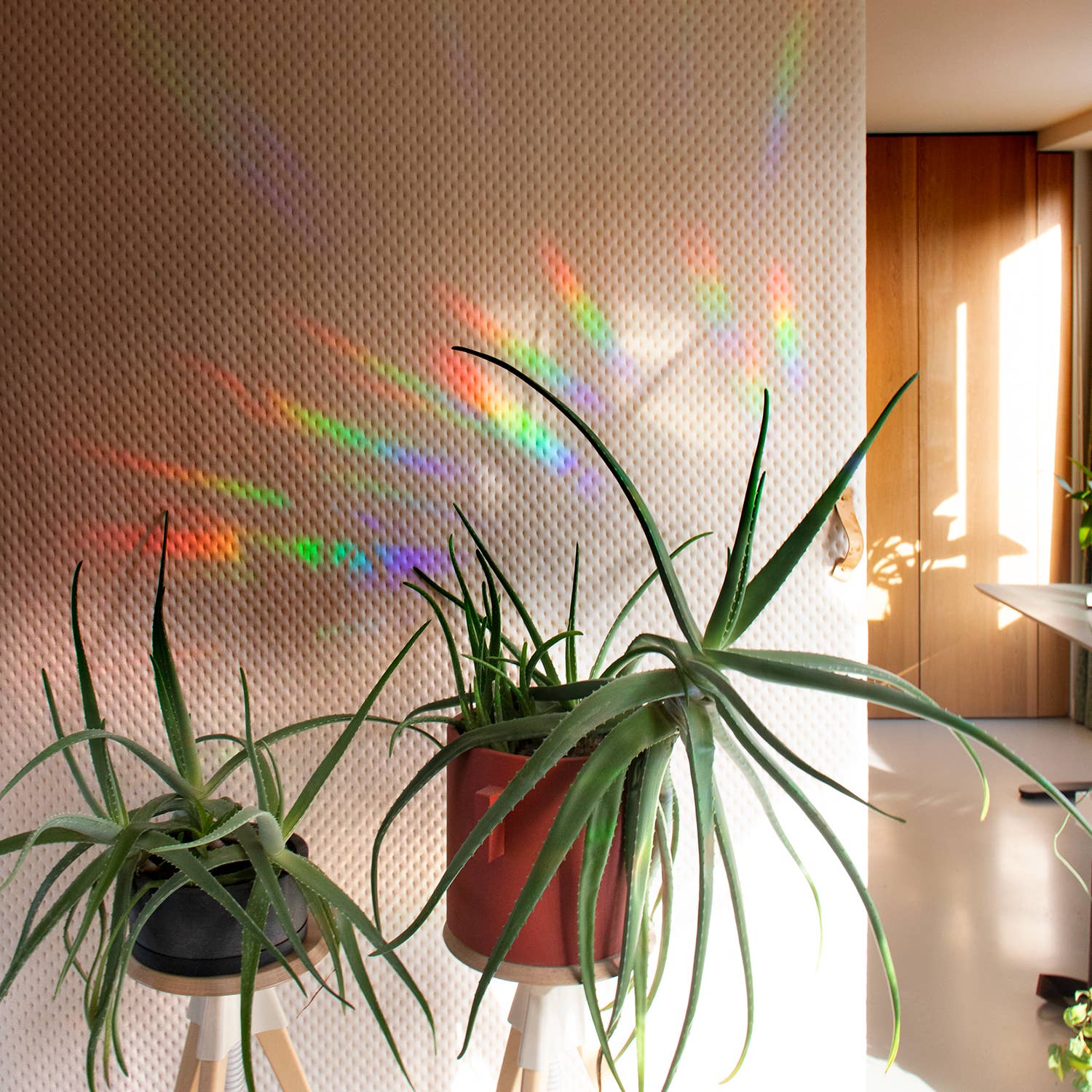 Rainbow Maker | Rainbow Prism Effect