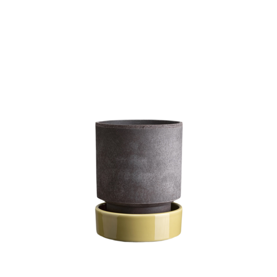 Saucer for The Hoff Pot | pale yellow