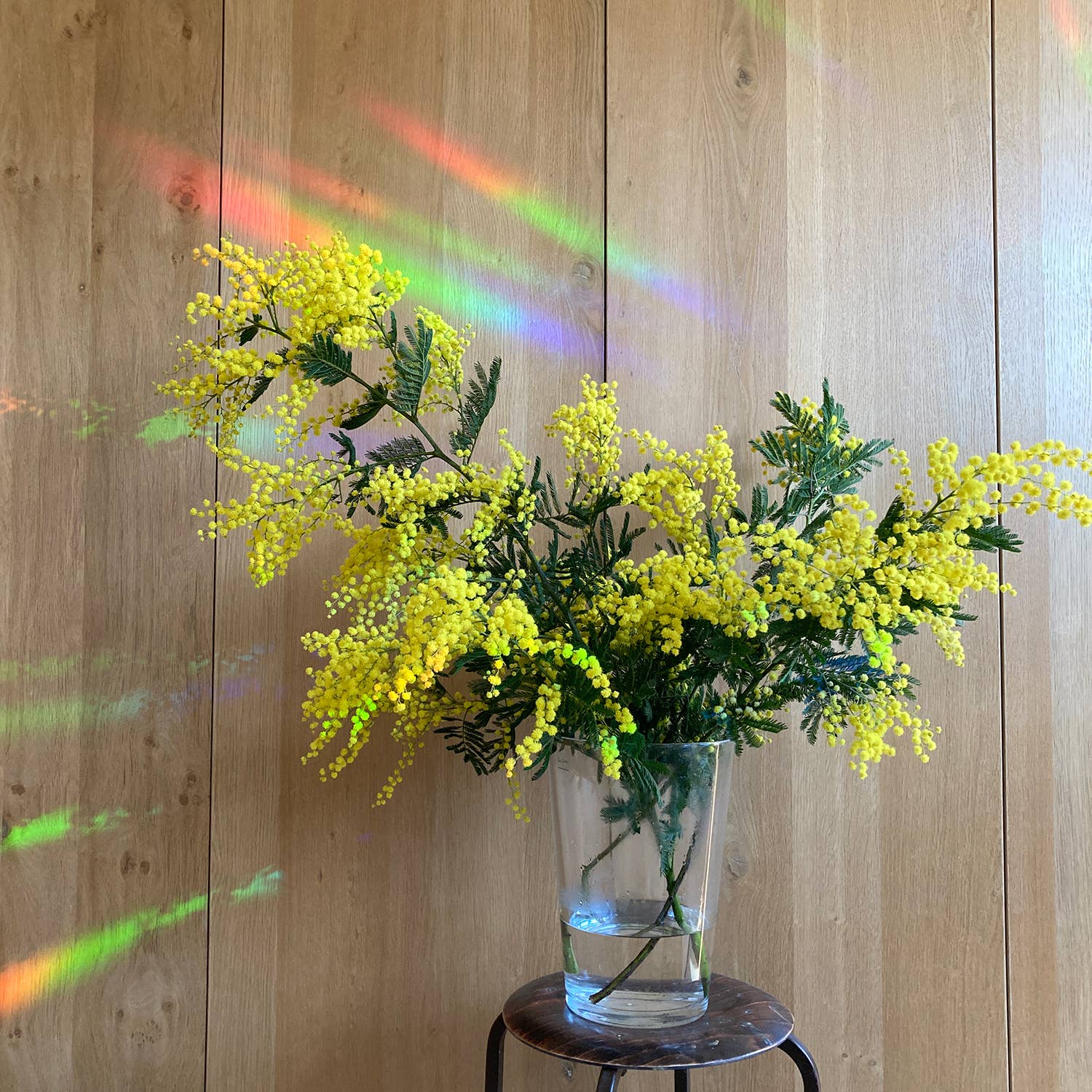 Rainbow Maker | Rainbow Prism Effect