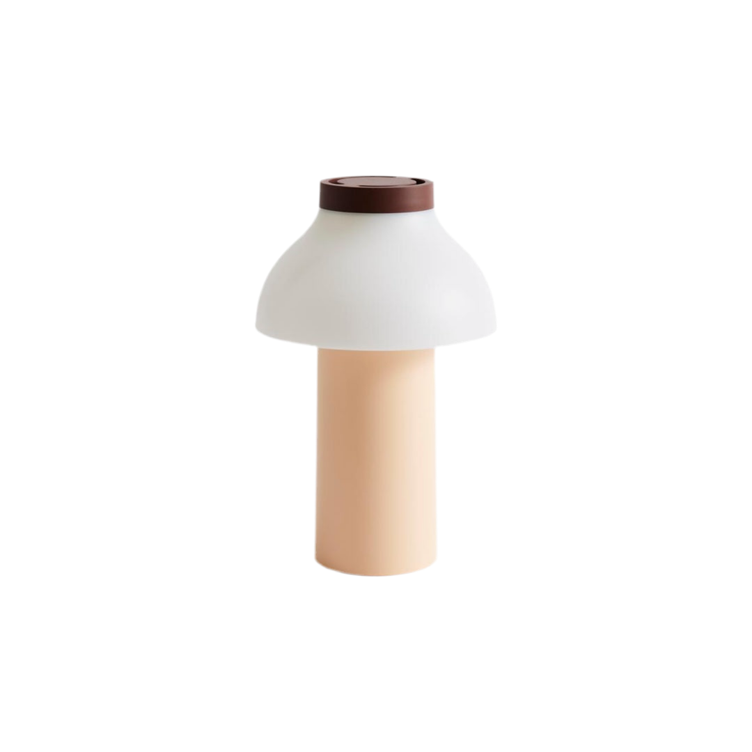 Lampe LED portable PC | pêche fard à joues