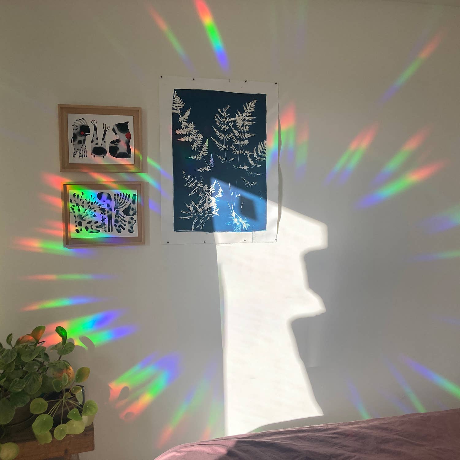 Rainbow Maker | Rainbow Prism Effect