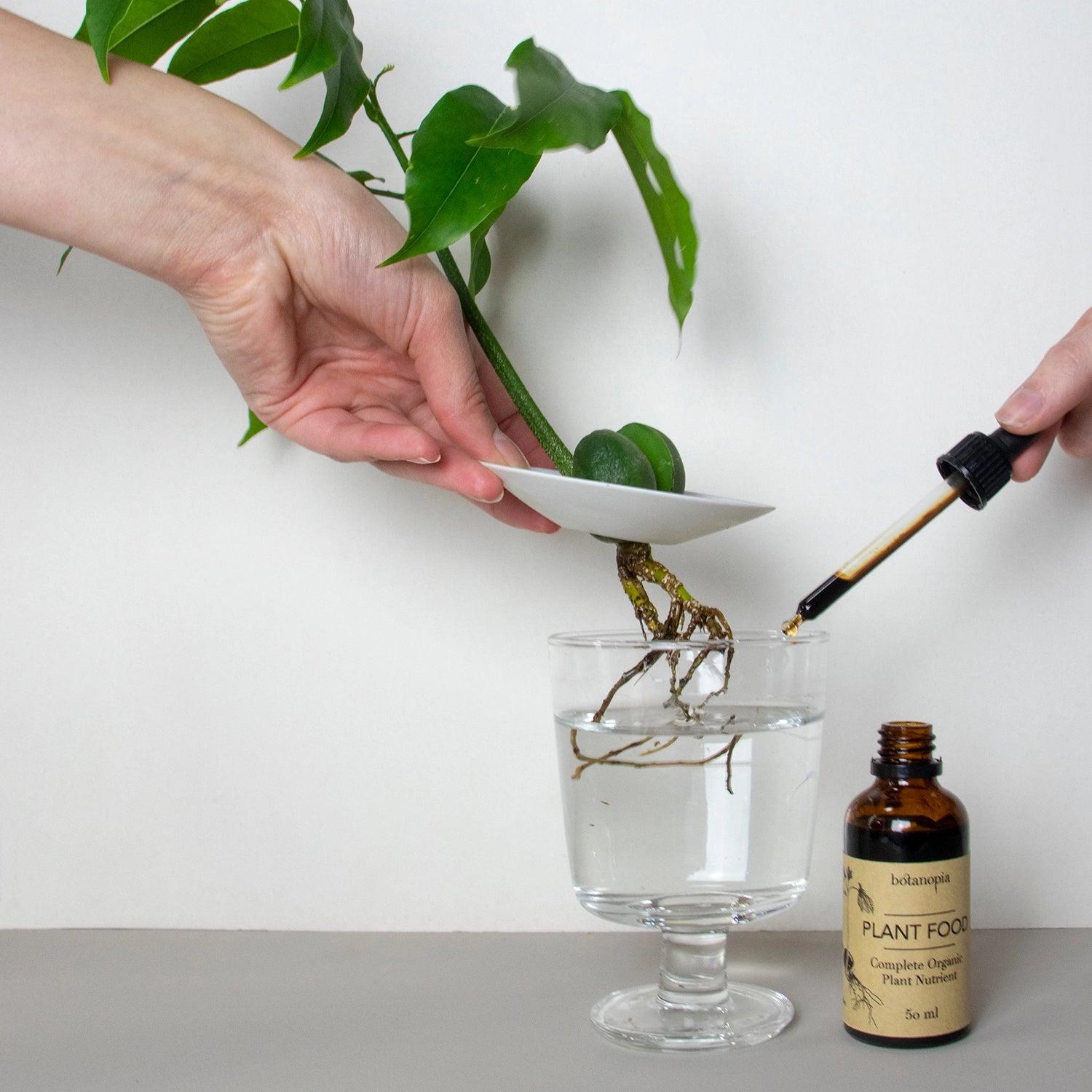 Engrais bio pour plantes | 50ml