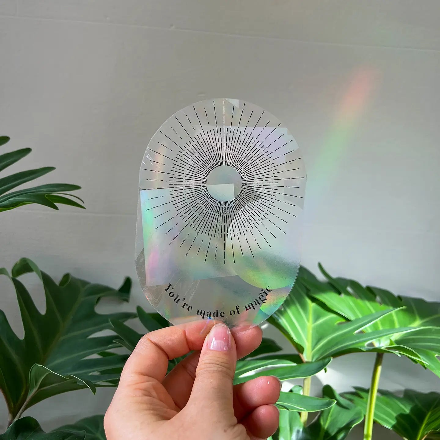 Rainbow Maker | Rainbow Prism Effect