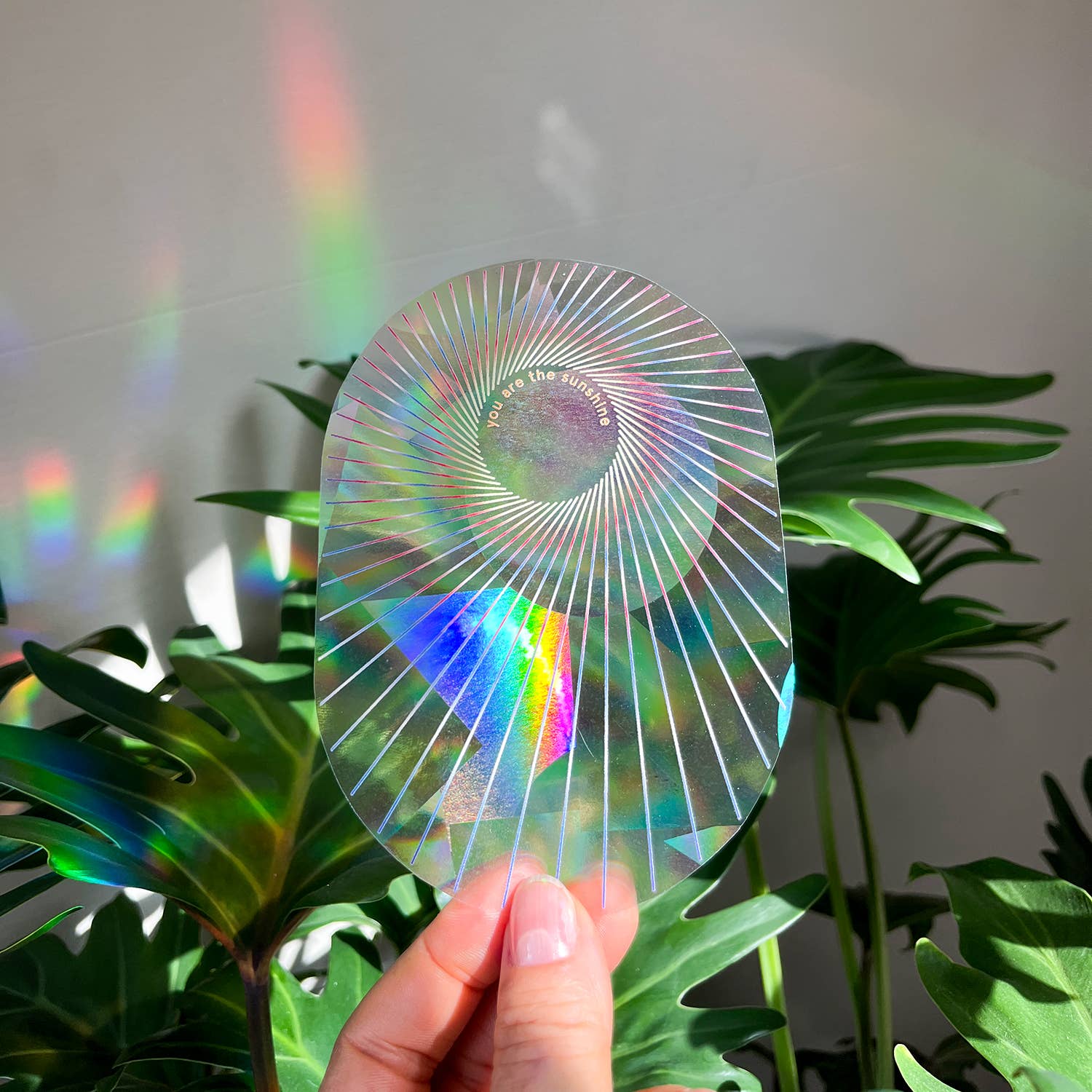 Rainbow Maker | Rainbow Prism Effect