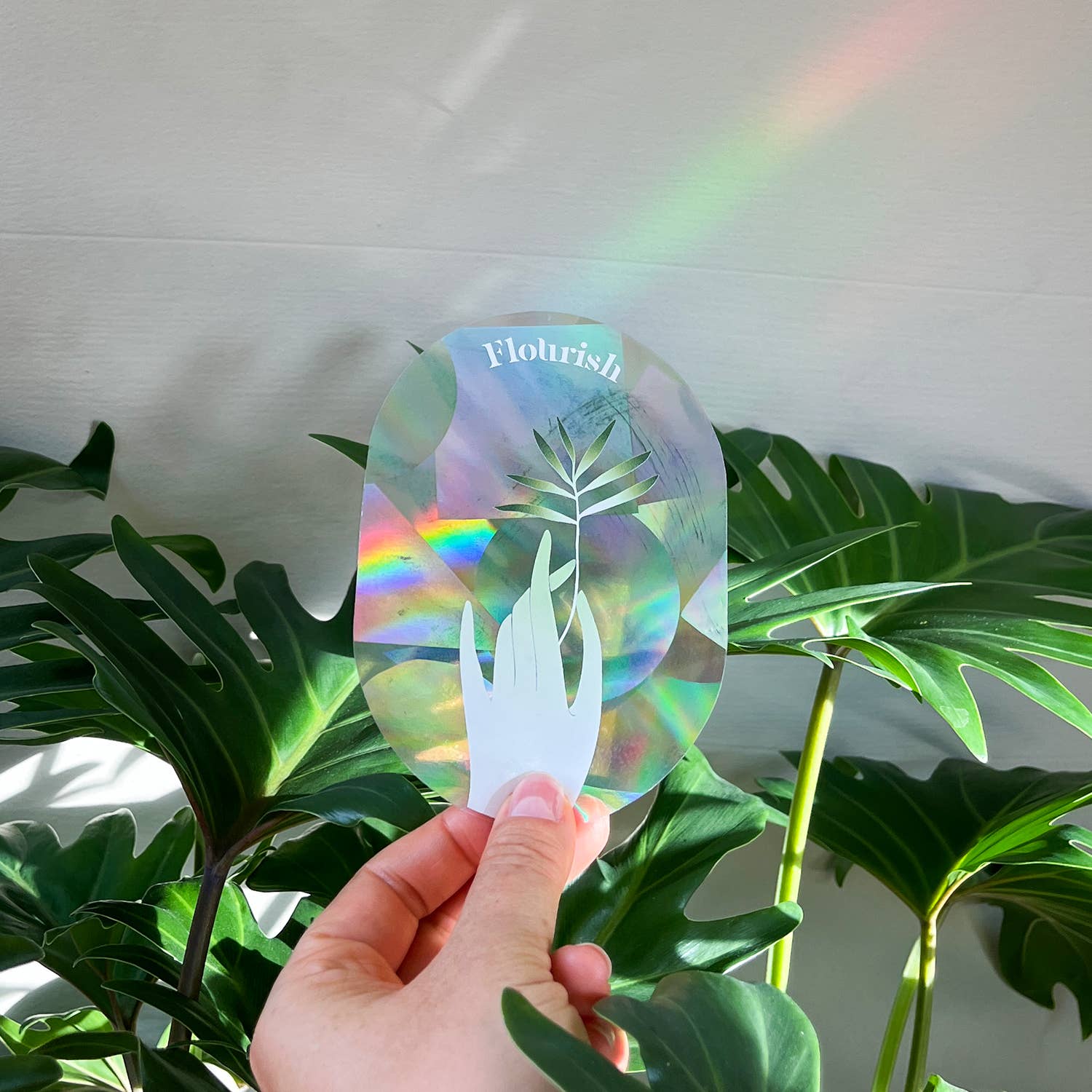 Rainbow Maker | Rainbow Prism Effect